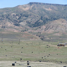 Uranium Field