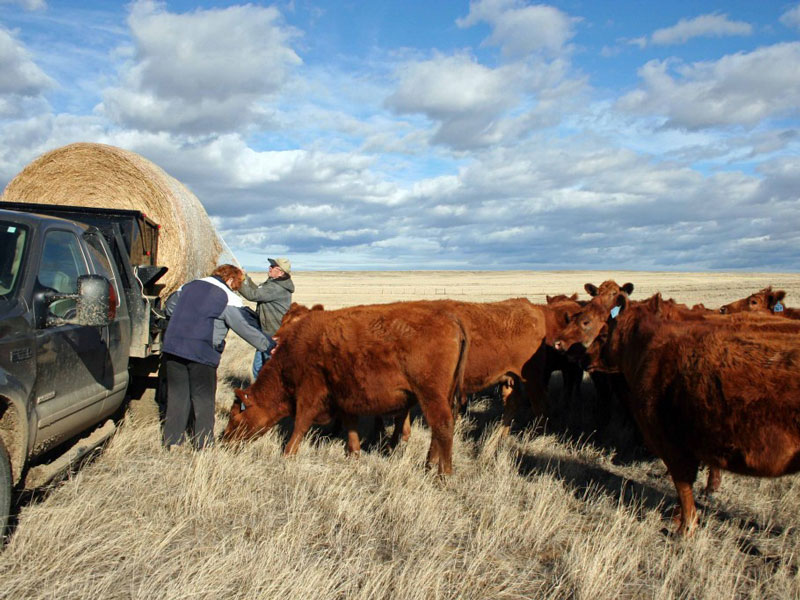 Donate & Join/Renew Powder River Basin Resource Council PRBRC