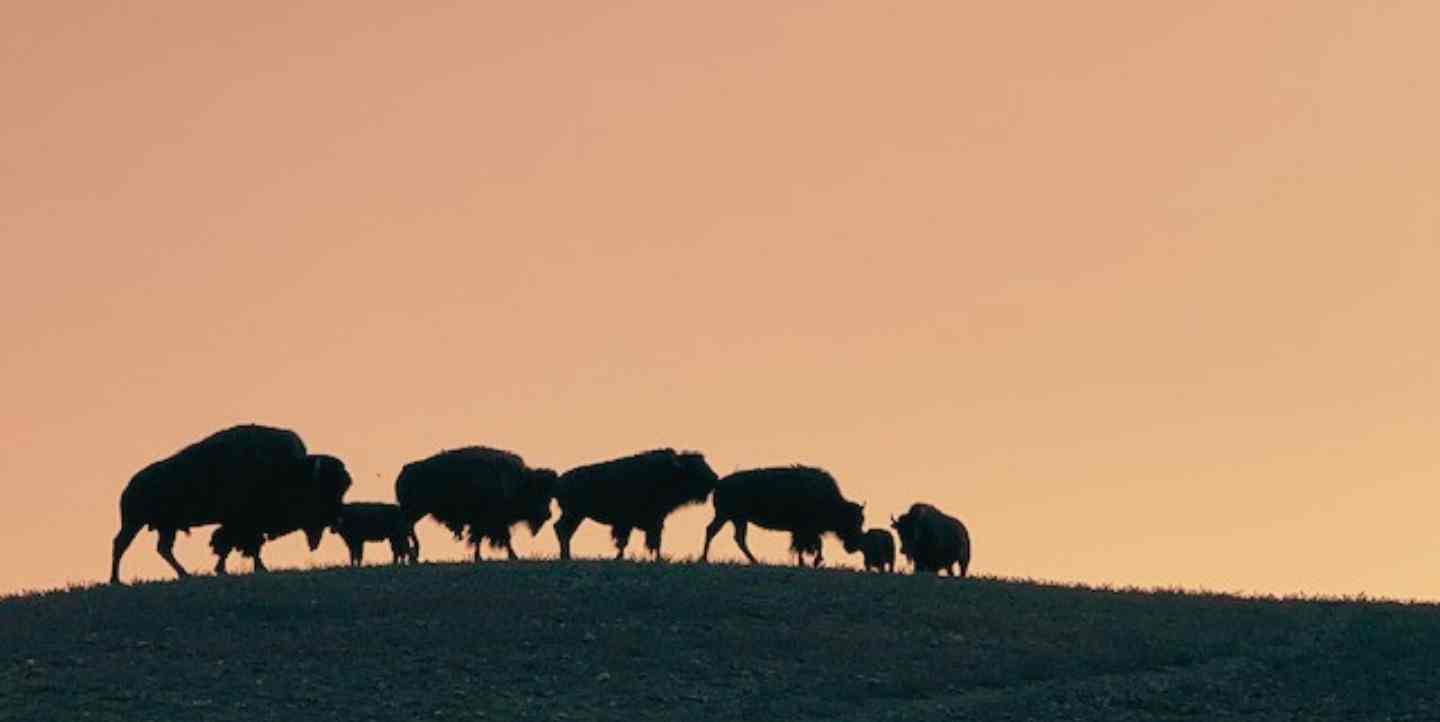 Powder River Basin Resource Council PRBRC